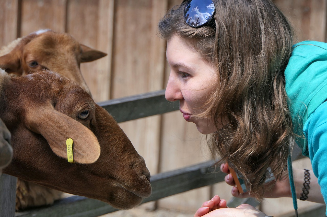 How to Conduct Research on Human-Animal Interactions
